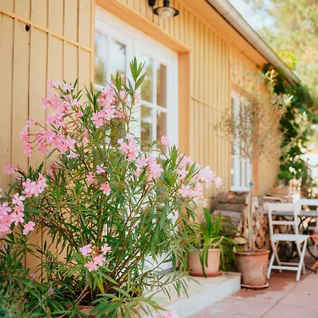 Tatil Evi Harmonia Modra