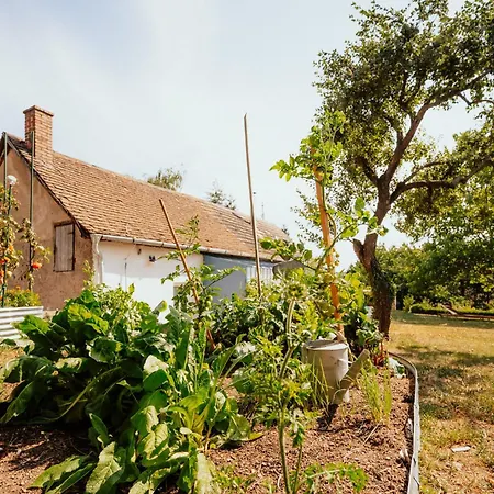 Tatil Evi Harmonia *